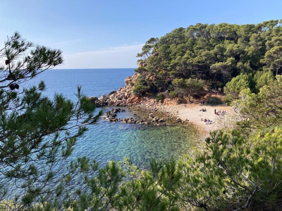 Bandol Roc Beach Vue Mer Grand T3 Face A La Plage Avec Parking Exterior photo